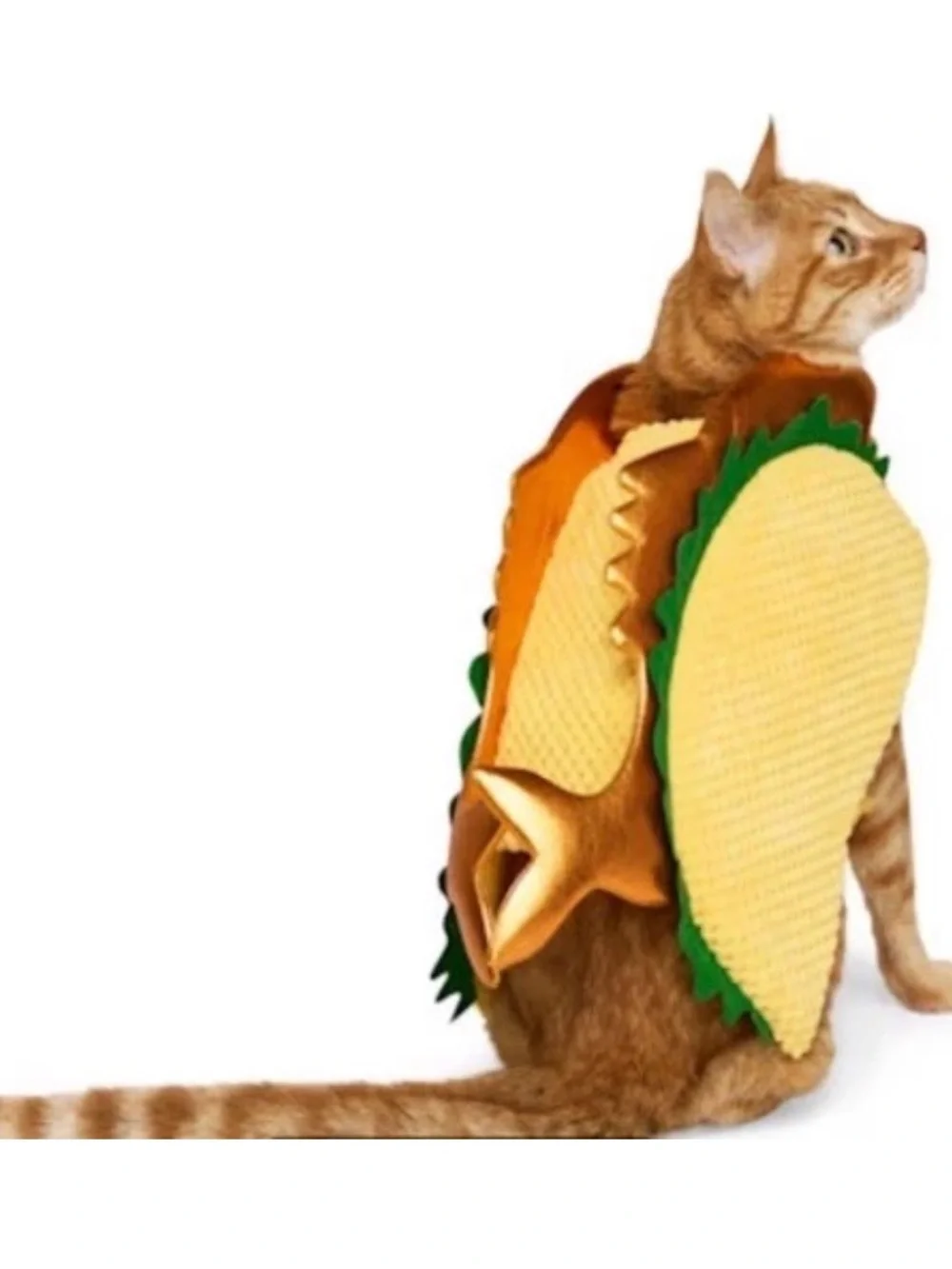 Fish Taco Pet Costume (Two)
